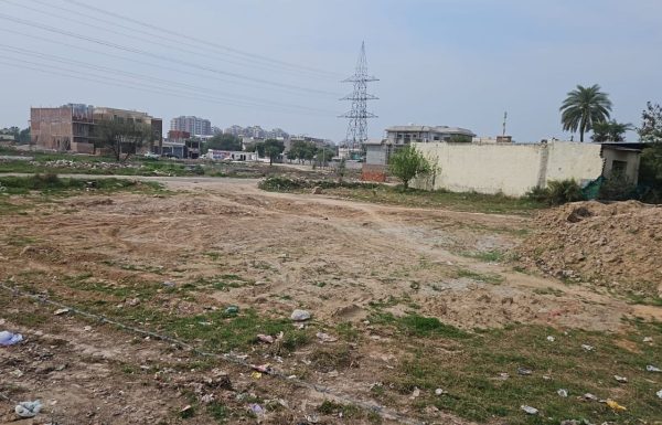 White_city_113 (6)