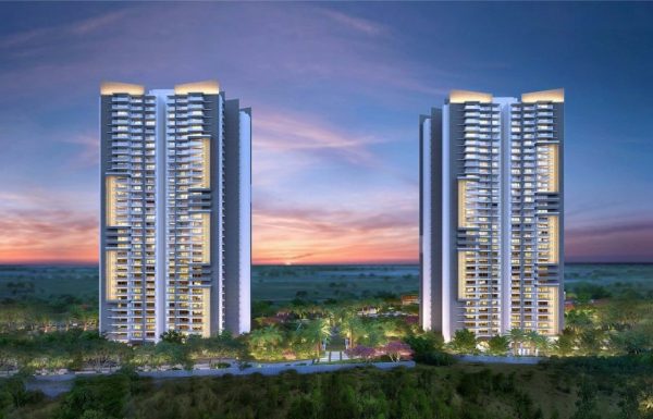 joygrand (1)