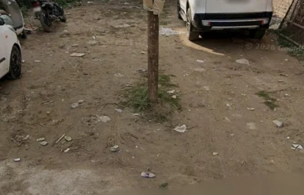 Plot-PicK-600×540